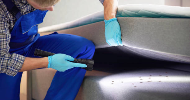 Best Rat Extermination Near Me  in Berryville, AR