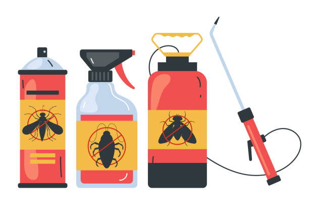Best Ant Control Services  in Berryville, AR