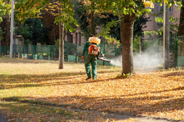 Best Pest Prevention Services  in Berryville, AR