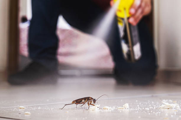 Professional Pest Control in Berryville, AR